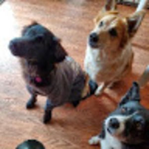 Meet your Posher, Katie